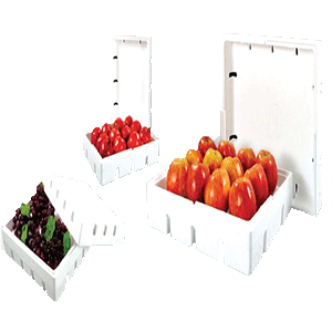 Thermocol Boxes For Fruit Packaging
